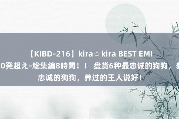 【KIBD-216】kira☆kira BEST EMIRI-中出し性交20発超え-総集編8時間！！ 盘货6种最忠诚的狗狗，养过的王人说好！