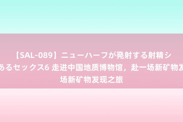 【SAL-089】ニューハーフが発射する射精シーンがあるセックス6 走进中国地质博物馆，赴一场新矿物发现之旅