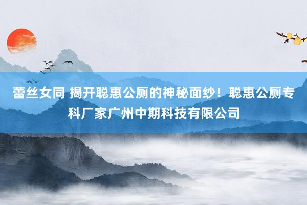 蕾丝女同 揭开聪惠公厕的神秘面纱！聪惠公厕专科厂家广州中期科技有限公司