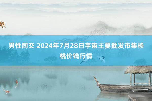 男性同交 2024年7月28日宇宙主要批发市集杨桃价钱行情