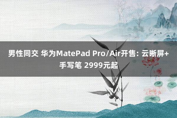 男性同交 华为MatePad Pro/Air开售: 云晰屏+手写笔 2999元起