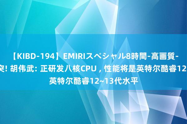 【KIBD-194】EMIRIスペシャル8時間-高画質-特別編 冲突! 胡伟武: 正研发八核CPU ， 性能将是英特尔酷睿12~13代水平