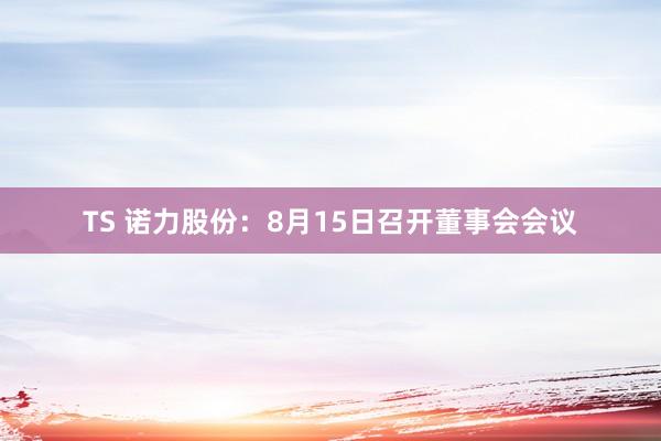 TS 诺力股份：8月15日召开董事会会议