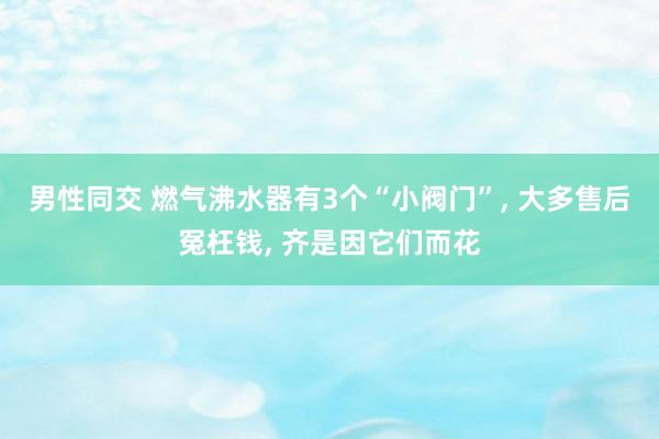 男性同交 燃气沸水器有3个“小阀门”， 大多售后冤枉钱， 齐是因它们而花