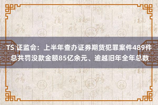 TS 证监会：上半年查办证券期货犯罪案件489件 总共罚没款金额85亿余元、逾越旧年全年总数