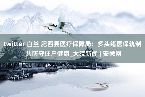 twitter 白丝 肥西县医疗保障局：多头绪医保轨制 共防守住户健康_大皖新闻 | 安徽网