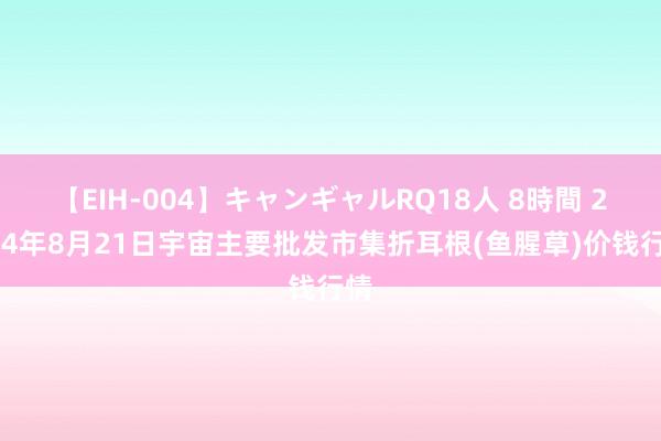 【EIH-004】キャンギャルRQ18人 8時間 2024年8月21日宇宙主要批发市集折耳根(鱼腥草)价钱行情