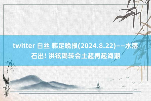 twitter 白丝 韩足晚报(2024.8.22)——水落石出! 洪铉锡转会土超再起海潮