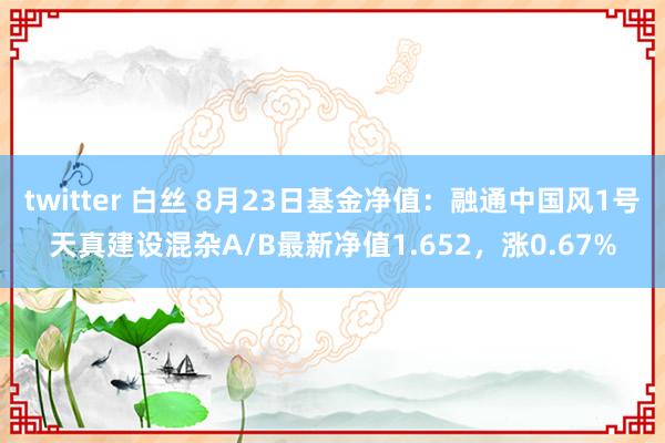 twitter 白丝 8月23日基金净值：融通中国风1号天真建设混杂A/B最新净值1.652，涨0.67%