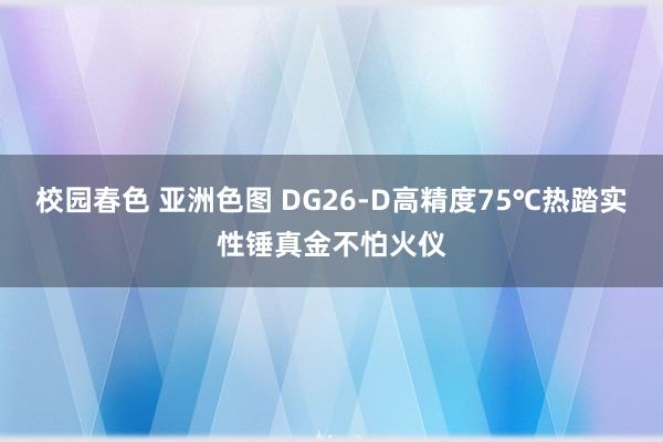 校园春色 亚洲色图 DG26-D高精度75℃热踏实性锤真金不怕火仪