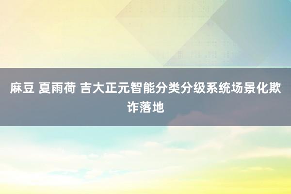 麻豆 夏雨荷 吉大正元智能分类分级系统场景化欺诈落地