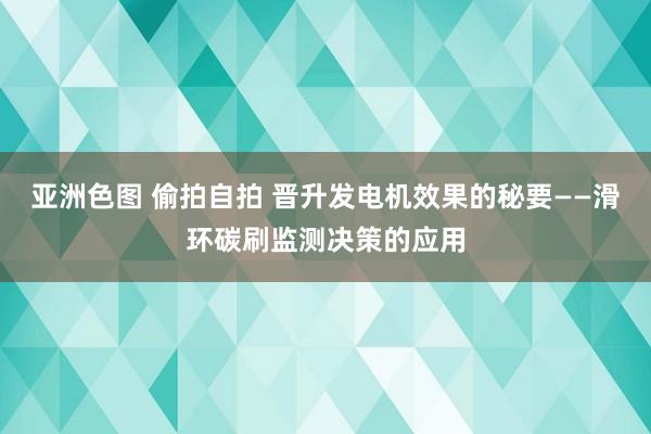 亚洲色图 偷拍自拍 晋升发电机效果的秘要——滑环碳刷监测决策的应用