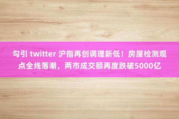 勾引 twitter 沪指再创调理新低！房屋检测观点全线落潮，两市成交额再度跌破5000亿