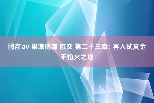 國產av 果凍傳媒 肛交 第二十三章: 再入试真金不怕火之地