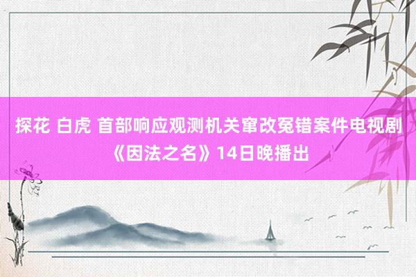 探花 白虎 首部响应观测机关窜改冤错案件电视剧《因法之名》14日晚播出